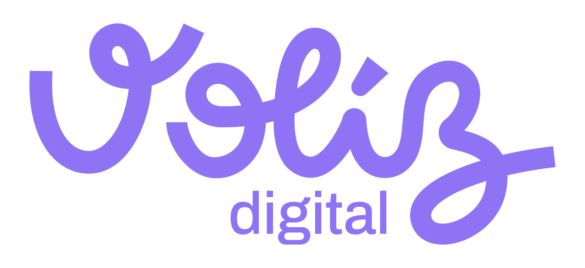 Voliz Digital